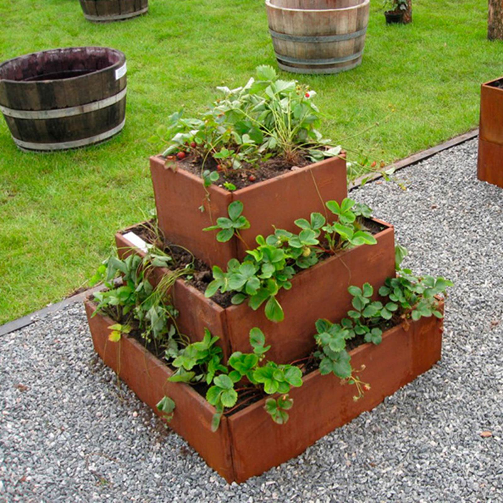 Odlingslåda - Pyramid tre nivåer Odlingslåda - Pyramid tre nivåer