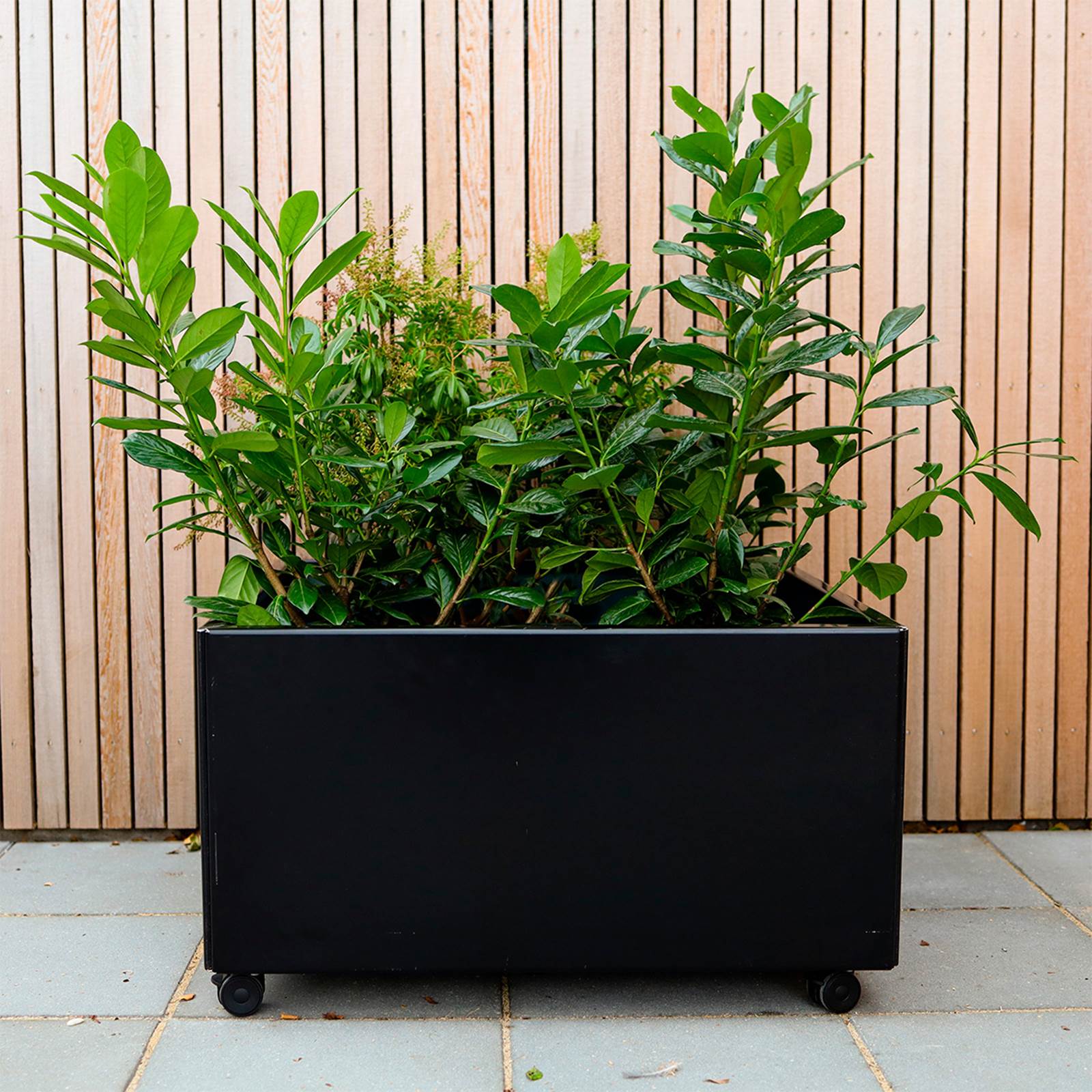 Blomlådor - svart aluminum Blomlådor - svart aluminum