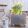 Land Classic Plantekasse 25x25 i galvaniseret stål Land Classic Plantekasse 25x25 i galvaniseret stål