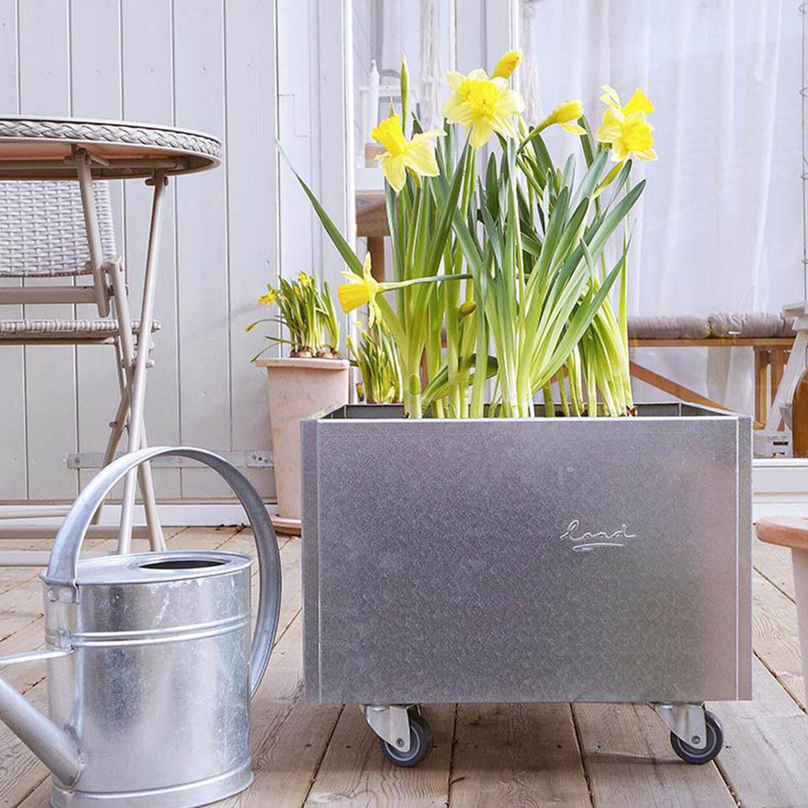 Land Classic Plantekasse 25x25 i galvaniseret stål Land Classic Plantekasse 25x25 i galvaniseret stål