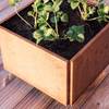 Plantekasse i rust 25x25 - Land Classic Plantekasse i rust 25x25 - Land Classic
