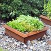 Land Classic Sneglehegn - Aflang - rust Land Classic Sneglehegn - Aflang - rust