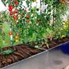 Land Kapilærskjuler Land Plus højbed galvaniseret Land Kapilærskjuler Land Plus højbed galvaniseret