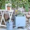 Land Modern Plantekasse 40x40 i galvaniseret stål Land Modern Plantekasse 40x40 i galvaniseret stål