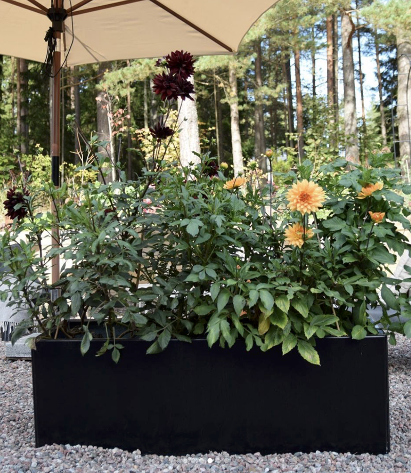 Højbede Land Black, sort alu (Bredde: 80 cm) Højbede Land Black, sort alu (Bredde: 80 cm)