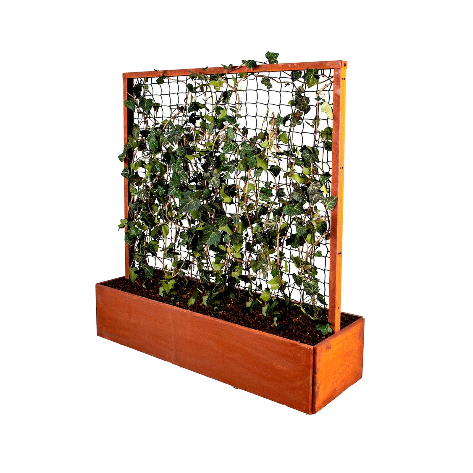 Land Classic – plante med espalier, rust Land Classic – plante med espalier, rust