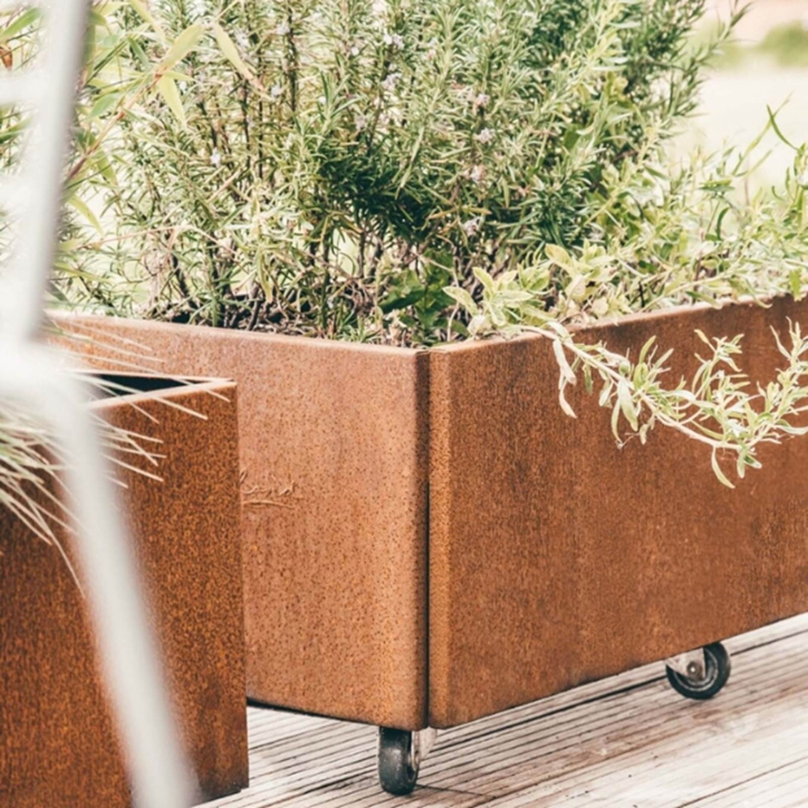 Plantekasser Land Classic, jern/rust (Bredde: 60 cm) Plantekasser Land Classic, jern/rust (Bredde: 60 cm)