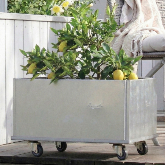 Plantekasser Land Classic, galvaniseret (Bredde: 60 cm)