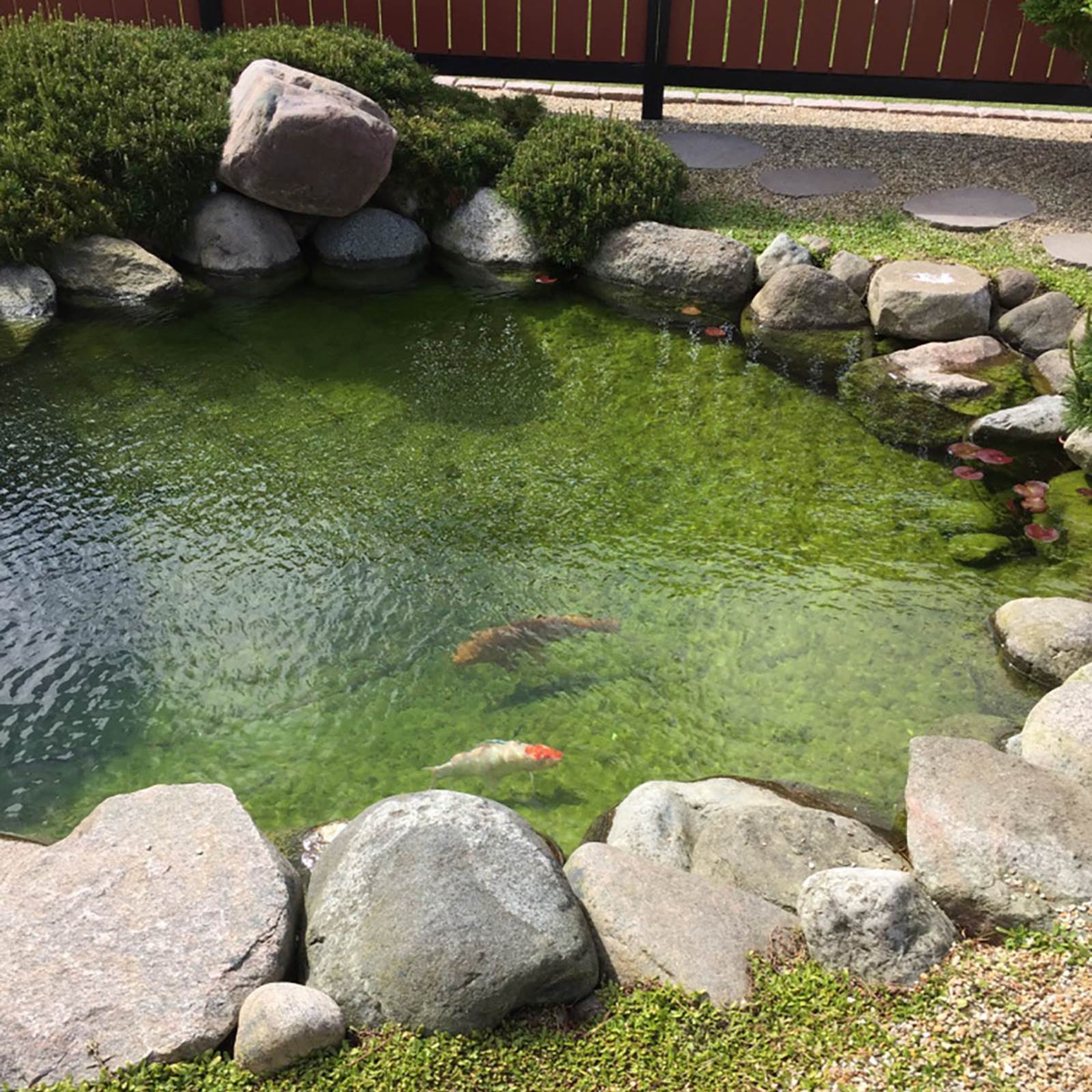 EPDM Gummidug til have- og fiskedamme EPDM Gummidug til have- og fiskedamme