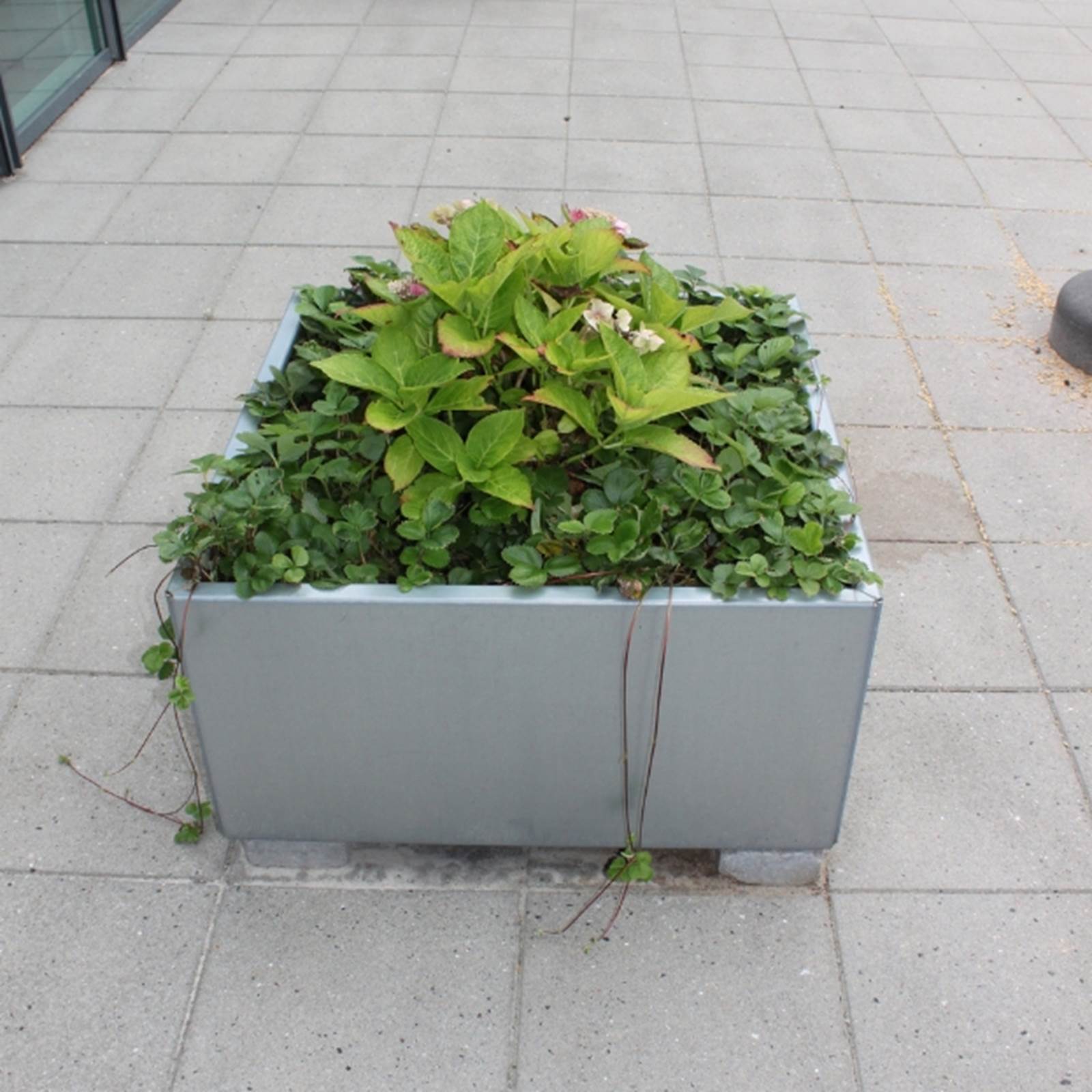 Land Modern Plantekasse i galvaniseret stål Land Modern Plantekasse i galvaniseret stål