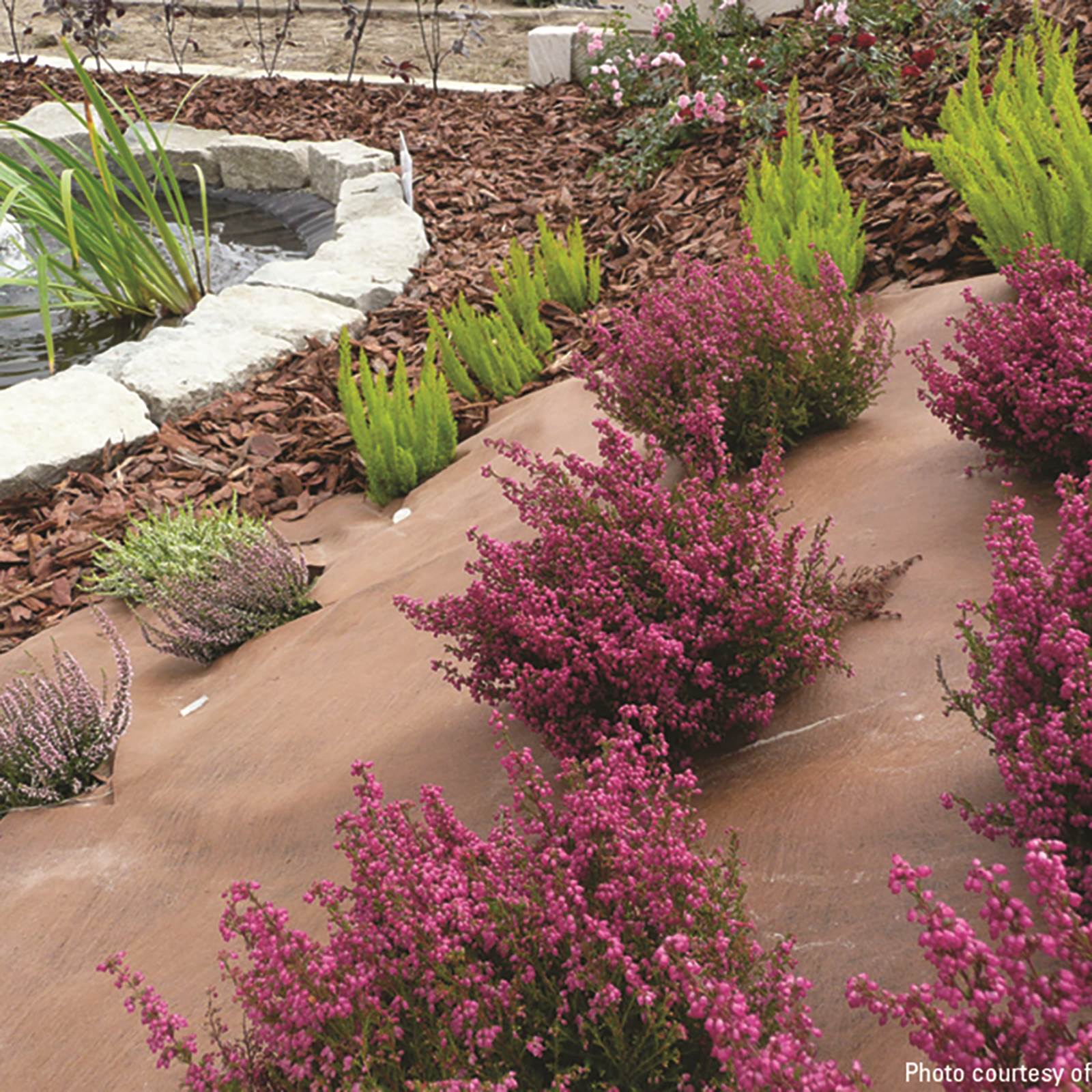 Plantex® Premium Plus Weedmax Plantex® Premium Plus Weedmax